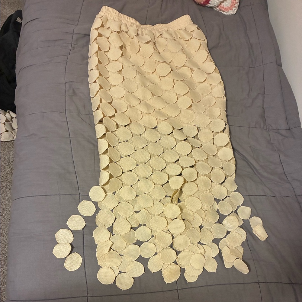 Top and Skirt